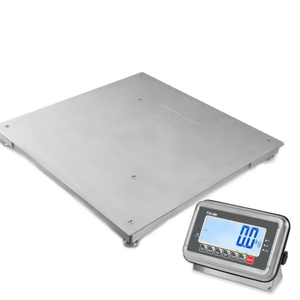 台衡 TFS-1010-2T 2t*0.5kg 地磅  不锈钢   (单位：台)