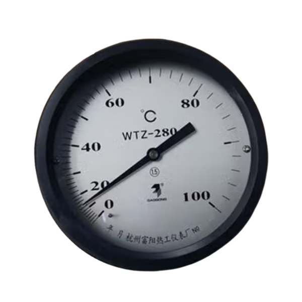 富阳热工仪表 WTZ-280 0-100℃ 1.0级 温度指示表 (单位：个)