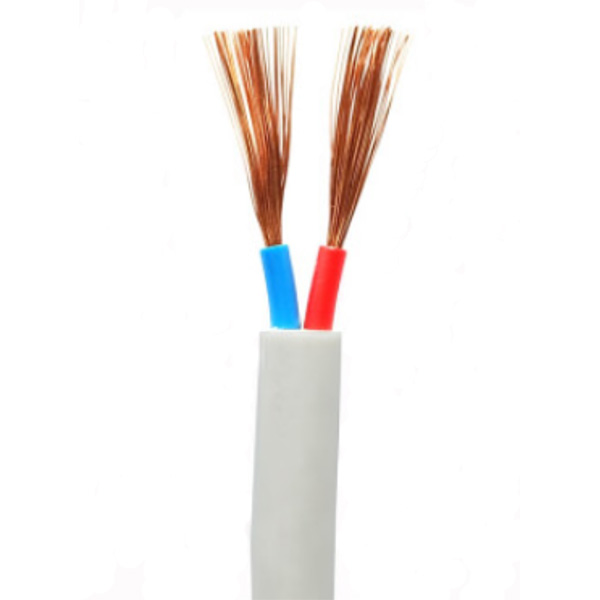 日木线缆 VVR/RVVZ 2*10mm2 2芯 阻燃铜丝电缆 (单位：M)
