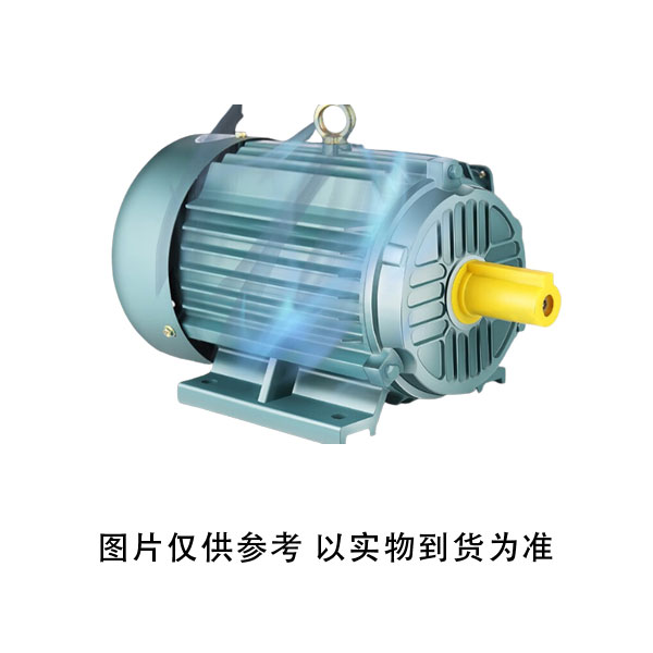 奉泉 YDT80-2 380V 0.08kW 电动机 (单位：个)