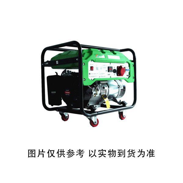 上海锐孜 RAISE G-POWER 220V/380V 启动含电瓶5.0/5.5KW RZ6600CE 发电机 (单位：台)