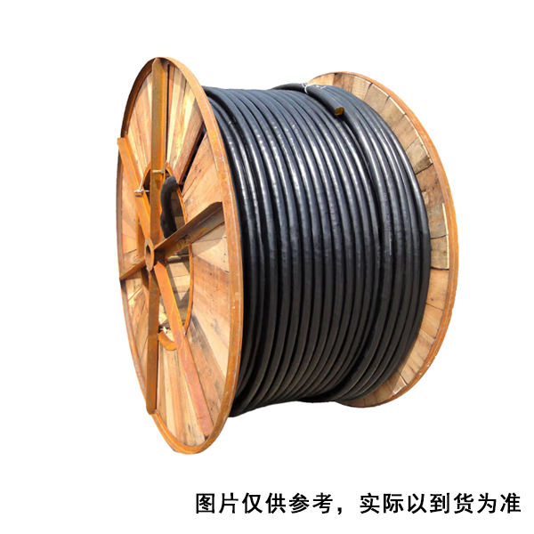 安徽天康 ZR-KX-HB-VVRP 2*0.75mm2 电缆 (单位：M)