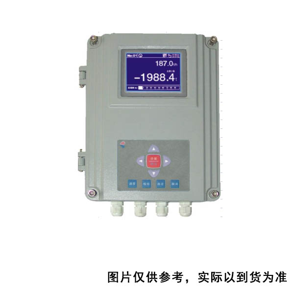 易量称重 ICS-800 高精度 含施工安装调试 皮带秤 (单位：台)